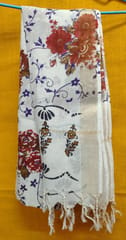 Combo Kalamkari Zari Cotton Dupatta 04