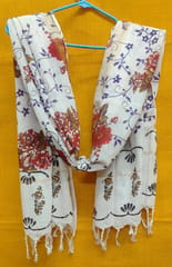 Combo Kalamkari Zari Cotton Dupatta 04