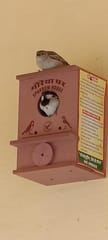 Bird House for Sparrow with Mounting Hook and Air Ventilation | Waterproof & Eco-Friendly