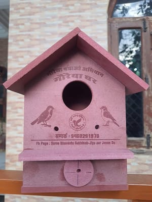 Hut Shape Bird House for Sparrows