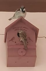 Hut Shape Bird House for Sparrows