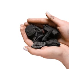 Eco-Friendly Natural Wood Charcoal by Rakshan Organics