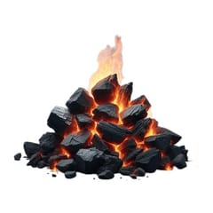 Eco-Friendly Natural Wood Charcoal by Rakshan Organics